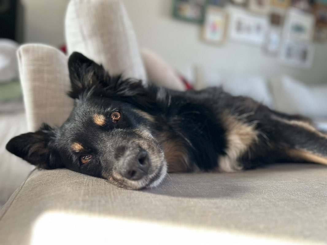 Mackenzie profile