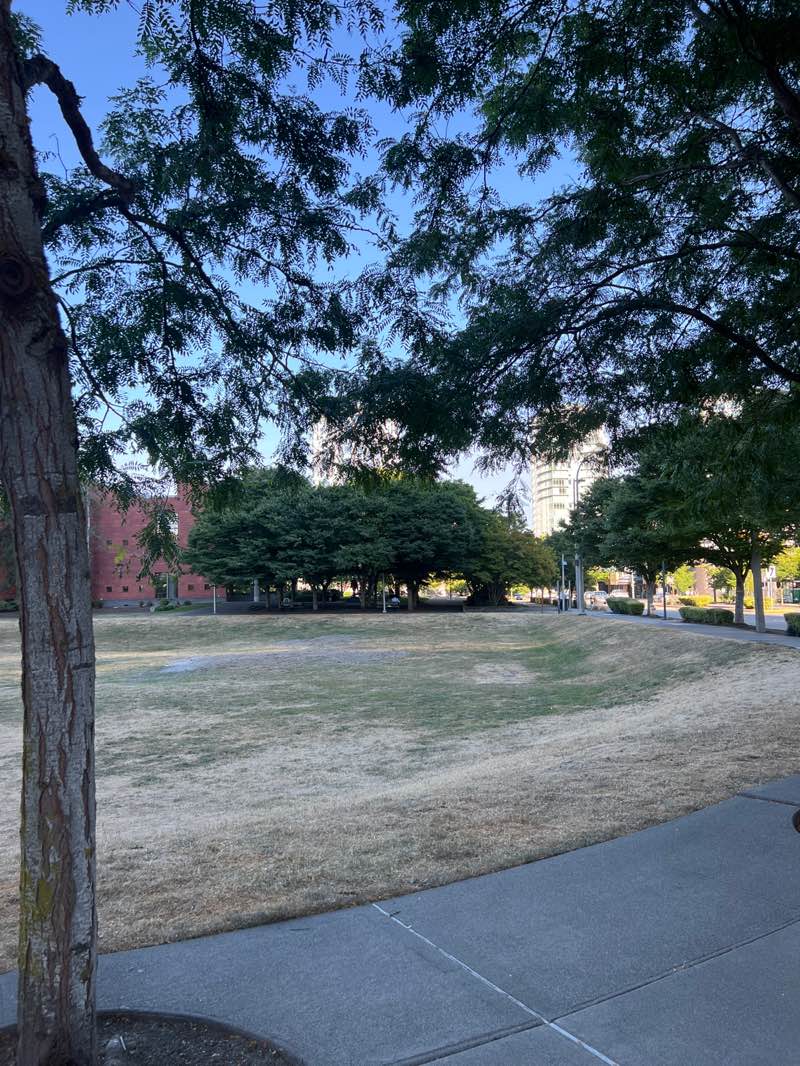 walking near me in Ashwood Park in summer