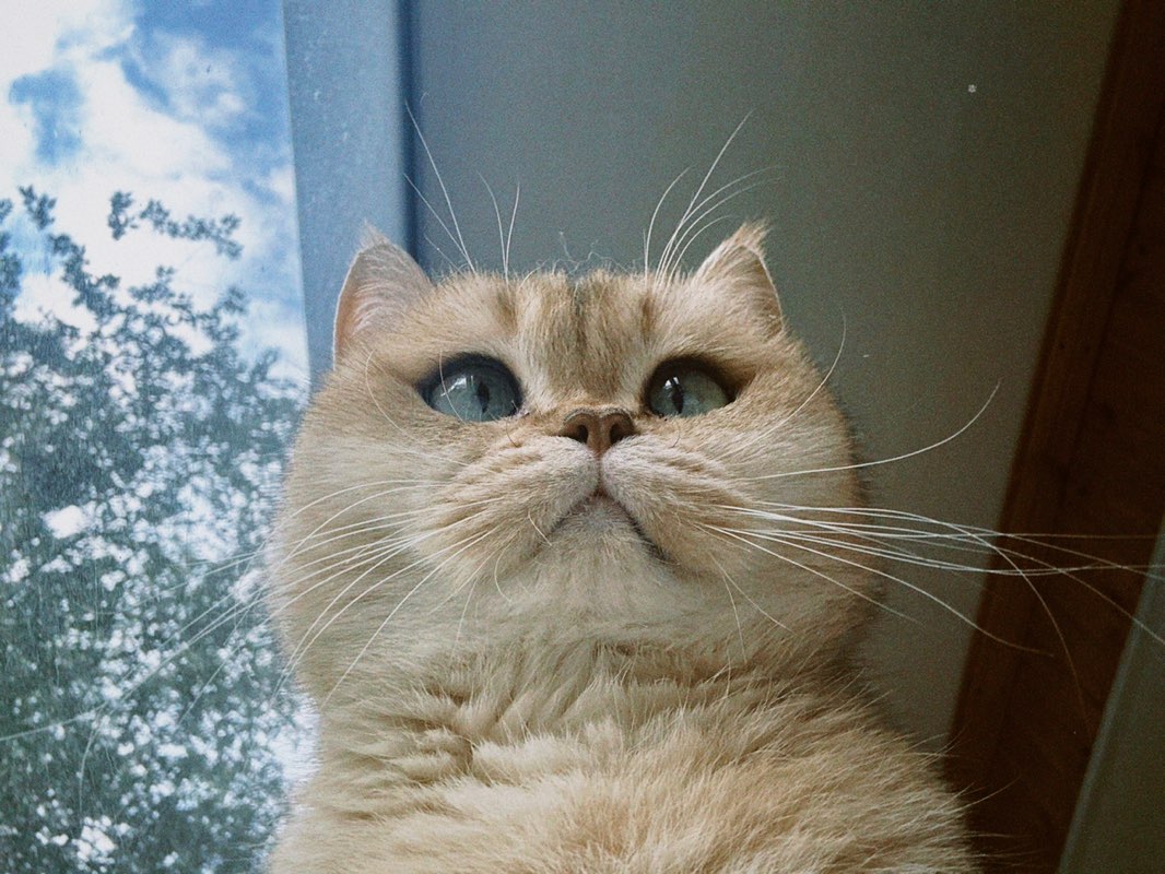 Сабина profile