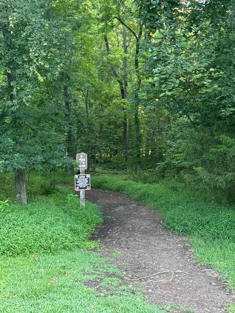 walking near me in Kephart Bridge Landing in summer