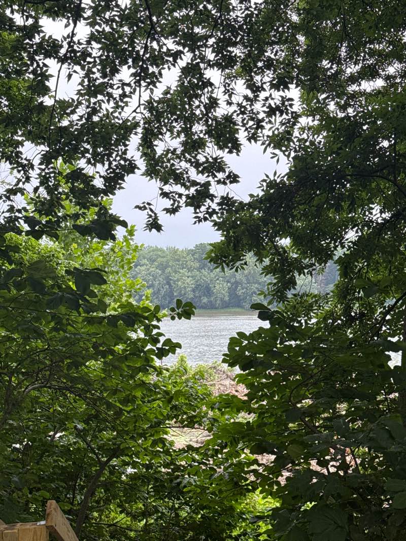 walking near me in Elizabeth Mills Riverfront Park in summer