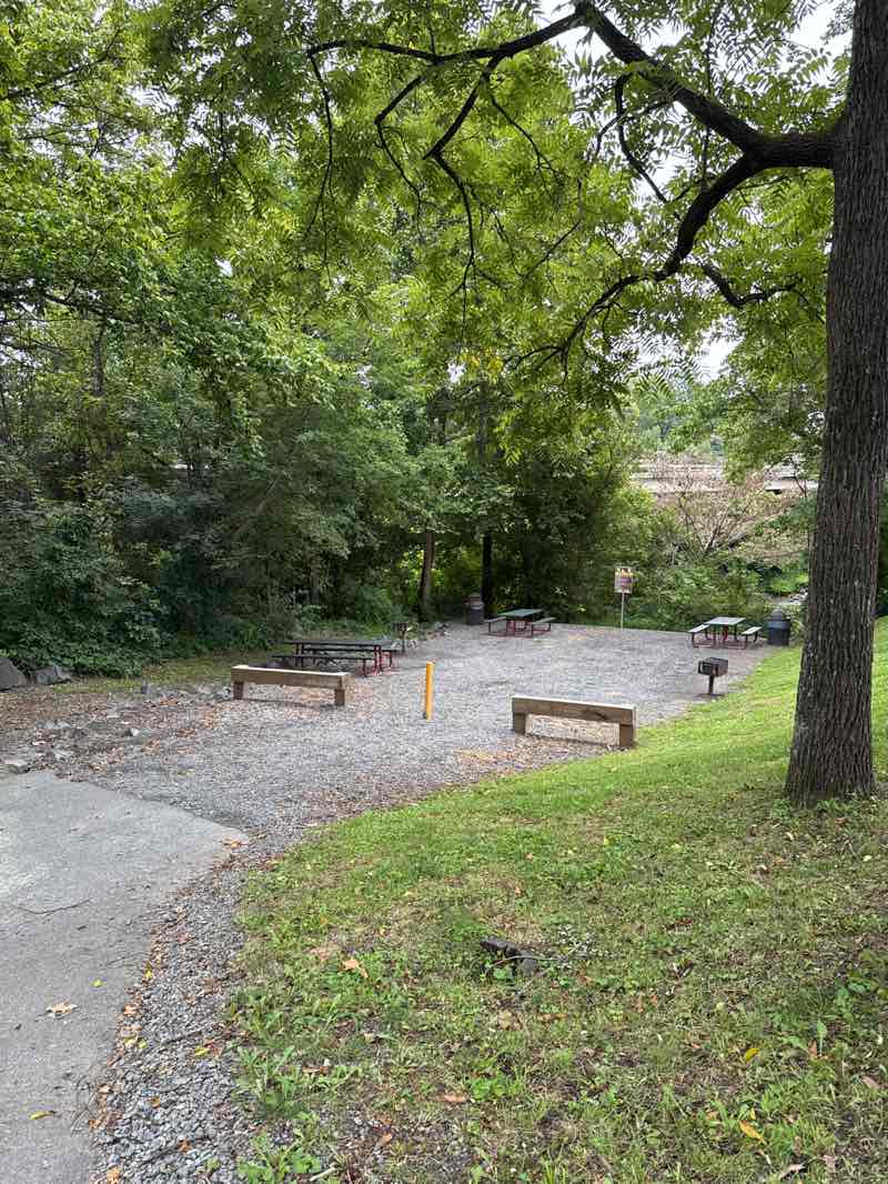 walking near me in Keep Loudoun Beautiful Park in summer