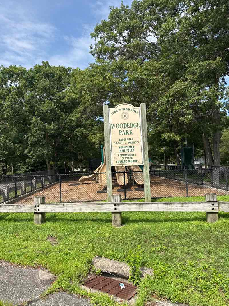 walking near me in Woodedge Park in summer