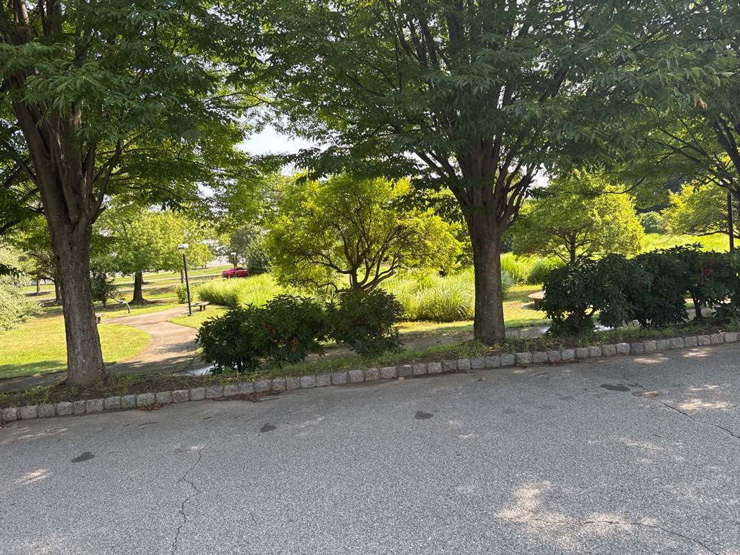 walking near me in Mita Park in summer