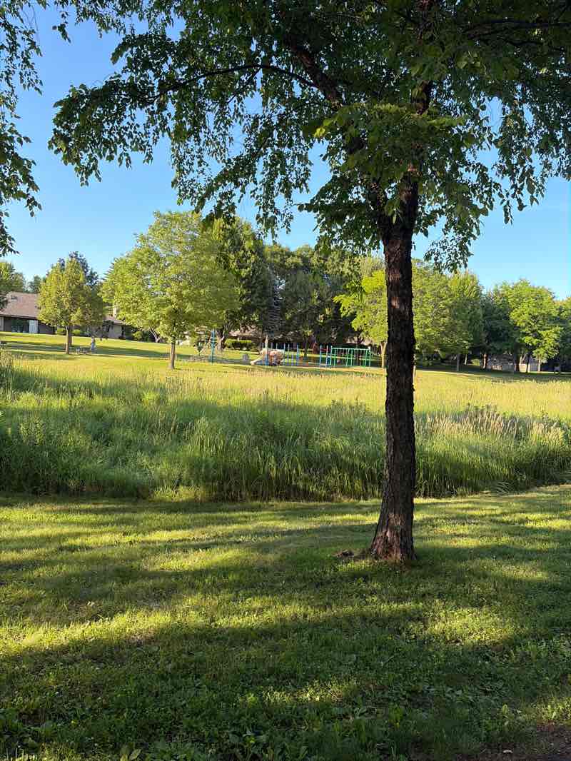 walking near me in John North Park in summer