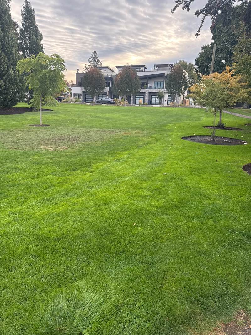 walking near me in Cameron Park in autumn