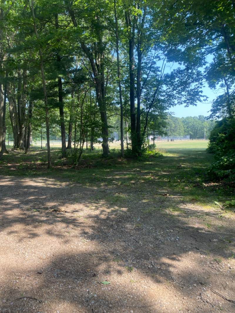 walking near me in Robinson Township Park in summer