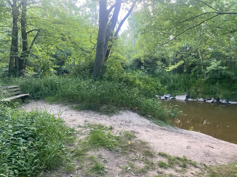 walking near me in Adams Street Landing in summer