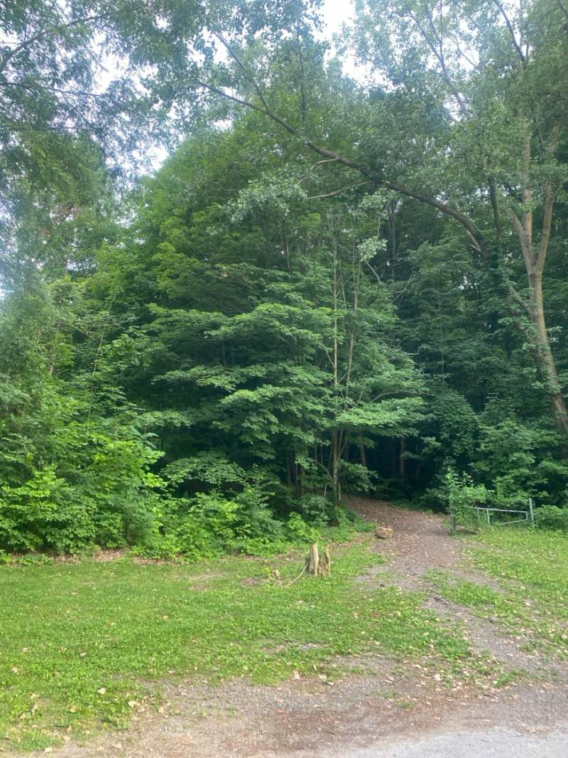 walking near me in Hudsonville Nature Center in summer
