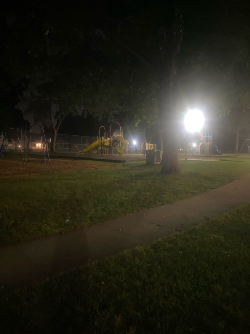 walking near me in Lawrence Park in summer