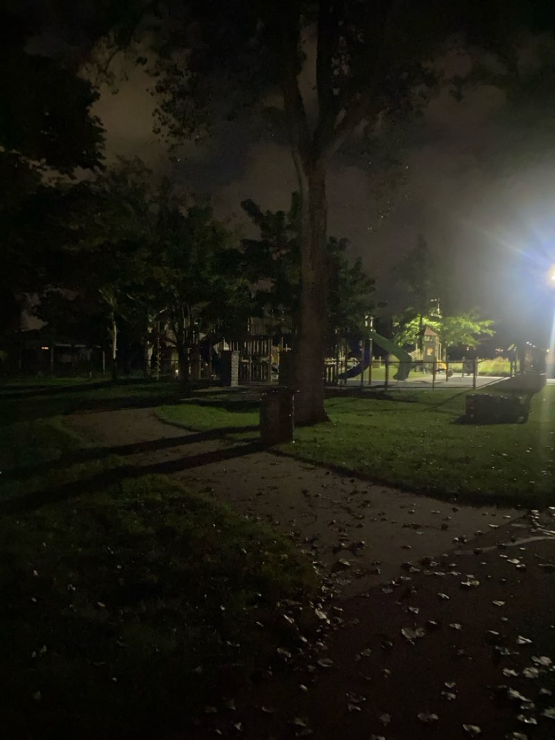 walking near me in Huizenga Park in autumn