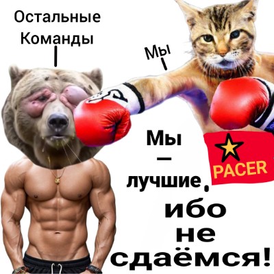Мы — лучшие Кеша post image