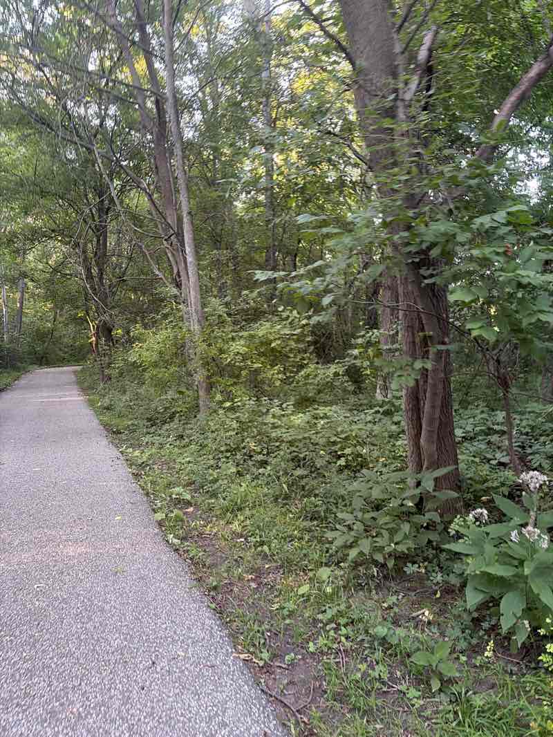 walking near me in Brunet Park in summer