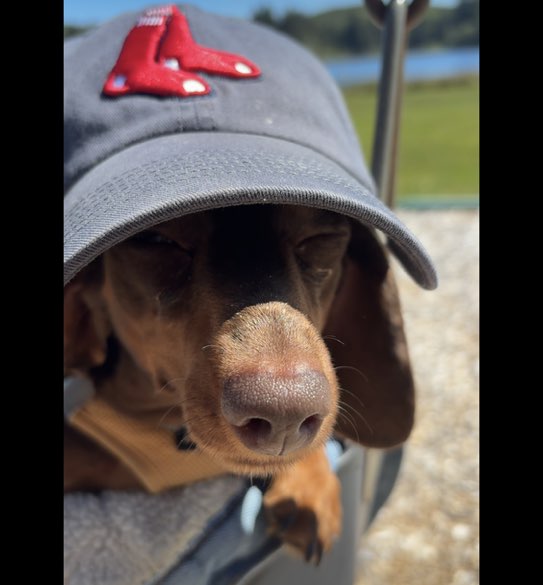 Jovi profile