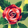 AnH icon