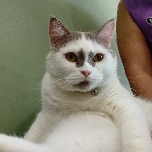ธีxx กวฟ(T MTF) profile