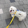 행복 profile