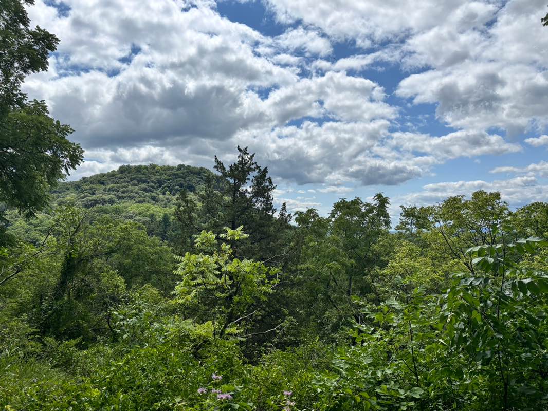 walking near me in Grandad Bluff Park in summer
