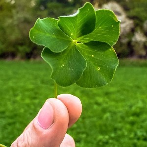 🍀Lucky profile