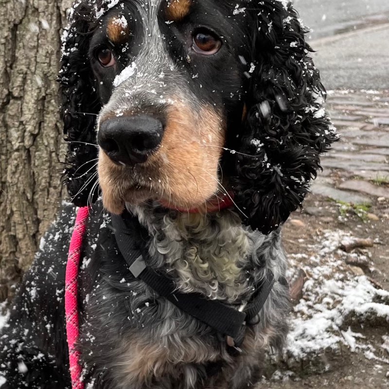 Winnie profile