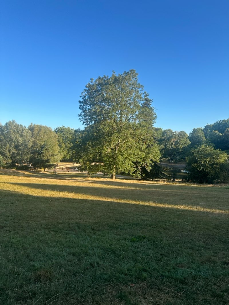 walking near me in Owen Square in summer