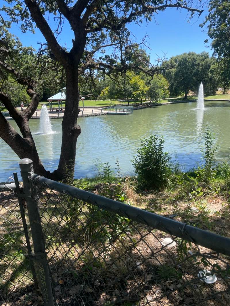 walking near me in Howe Park in summer