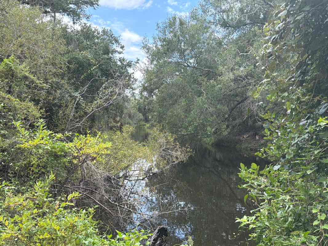 walking near me in Venice Myakka River Park in summer