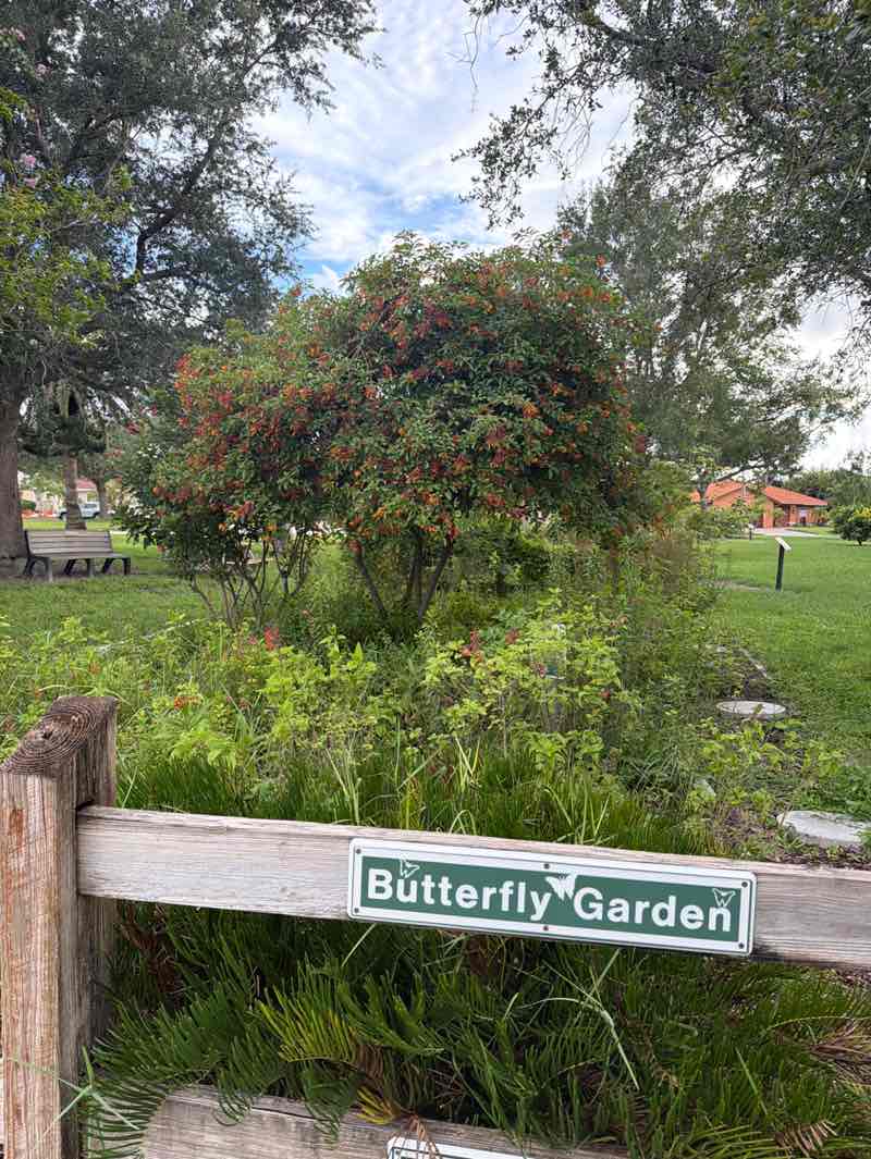walking near me in West Blalock Park in summer