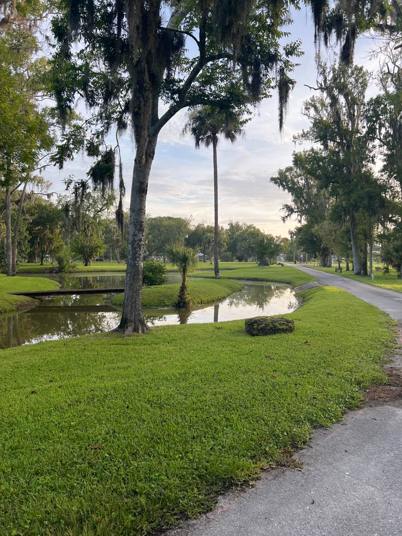 walking near me in Tuscawilla Park in summer