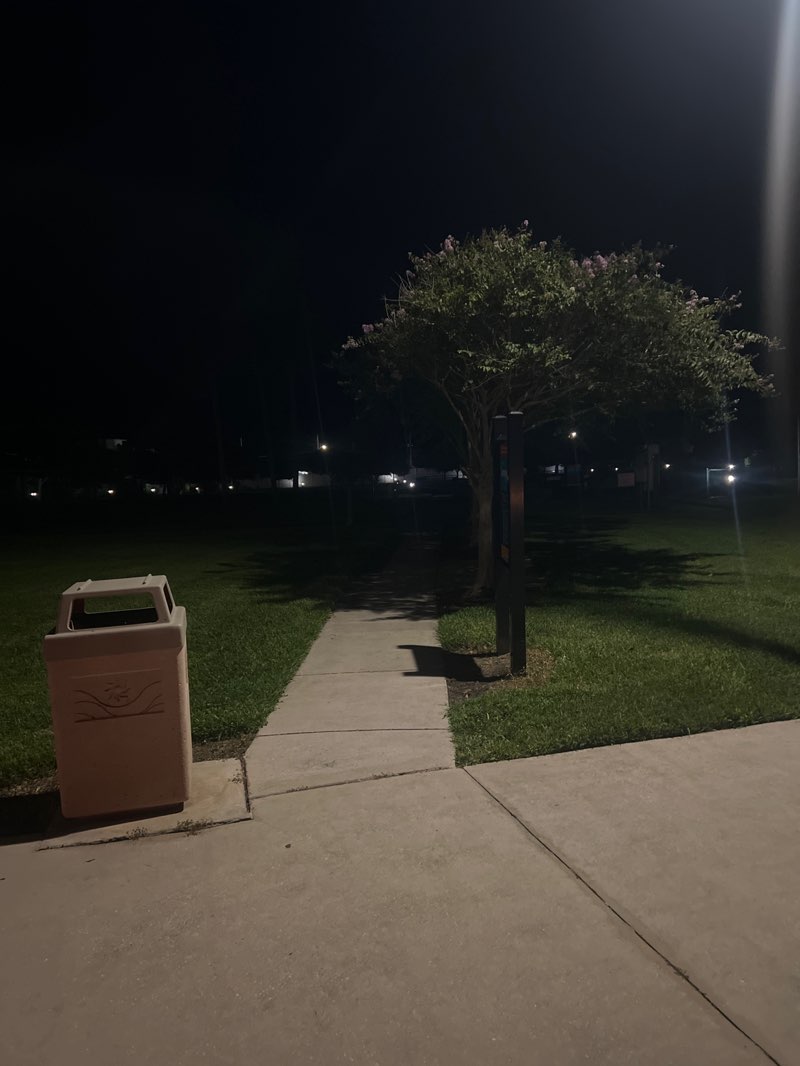 walking near me in Lenox Park in summer