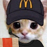 Timmeh profile