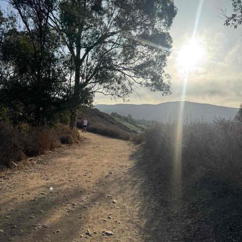 No Codes, Just Cardio Carol post image