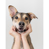 Charlene icon