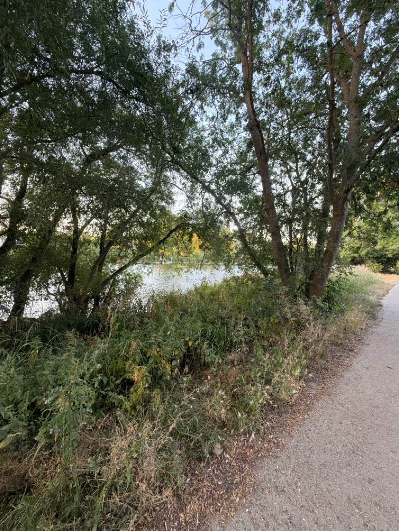 walking near me in King George's Field in summer