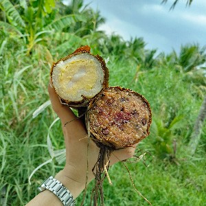 IN-0148-TRẦN THỊ THẢO NHI icon