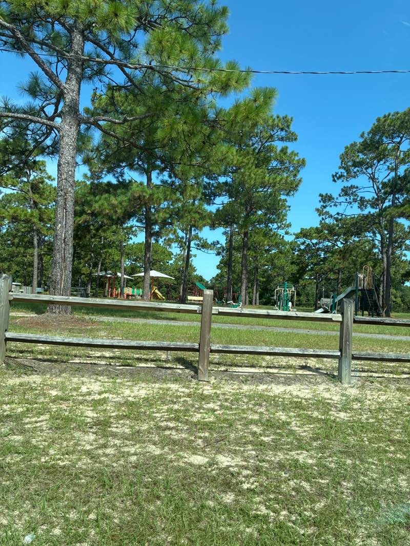 walking near me in Mary K. Young Wedgewood Community Center and Park in summer