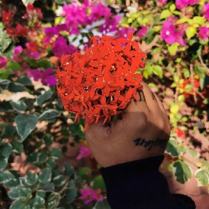 Chandhu profile