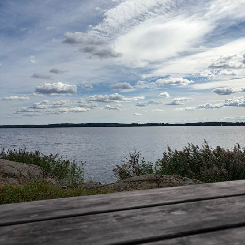 People from Sweden Ester post image