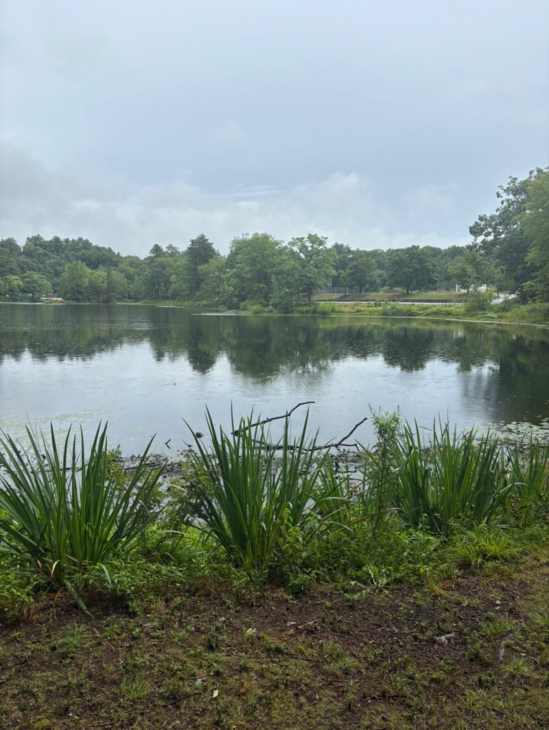 walking near me in Silver Lake Park in summer