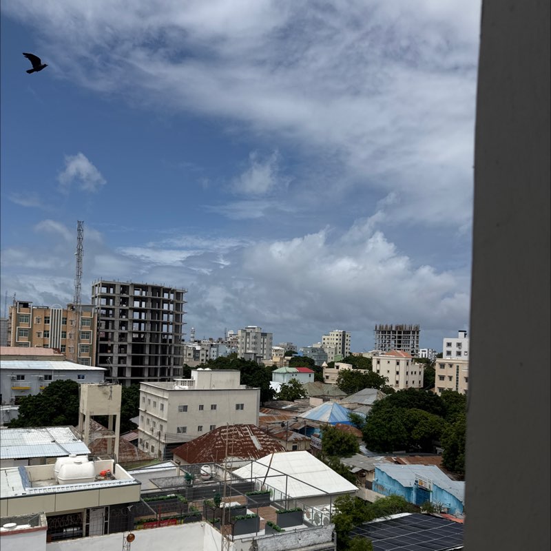 Abdirizak profile
