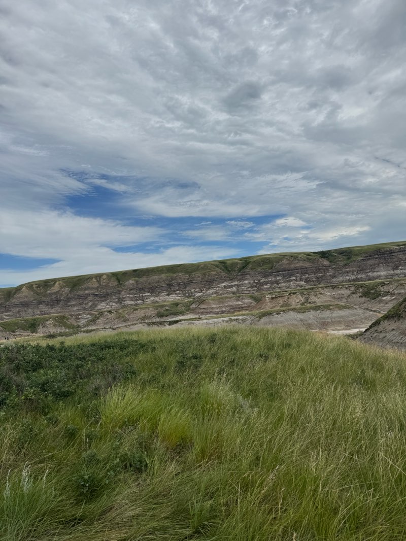 walking near me in Midland Provincial Park in summer
