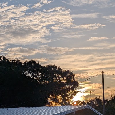 nicole 🇺🇲☀️🏖️🌴🚶🏻‍♀️ post 1
