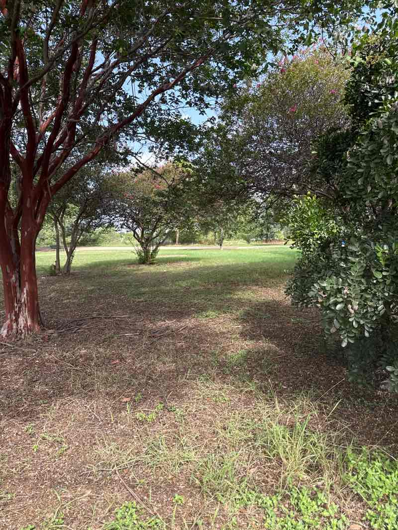 walking near me in Longhorn Shores at Town Lake Metropolitan Park in summer
