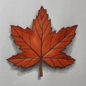 Maple 🍁