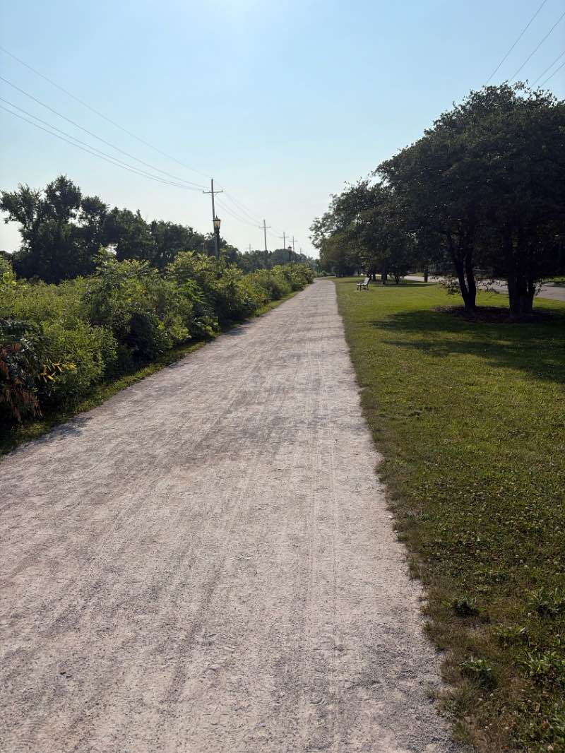 walking near me in Pioneer Park in summer