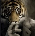 Ayman icon