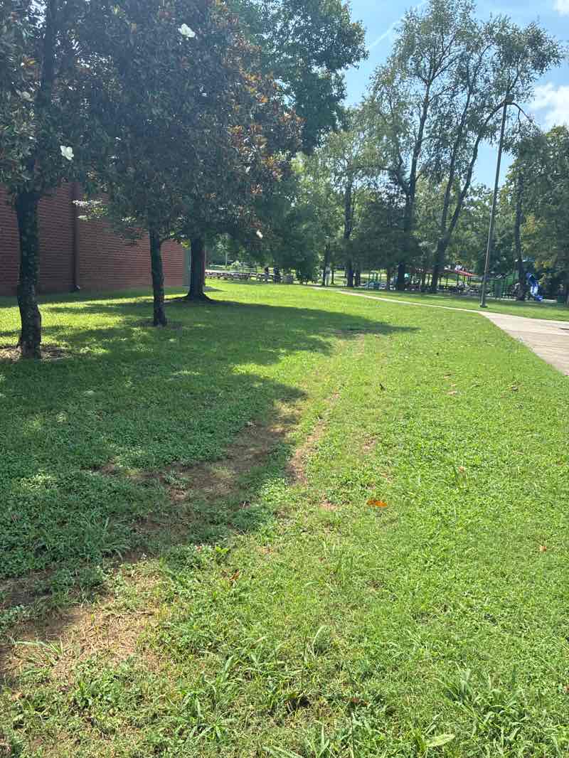 walking near me in Hermitage Park in summer