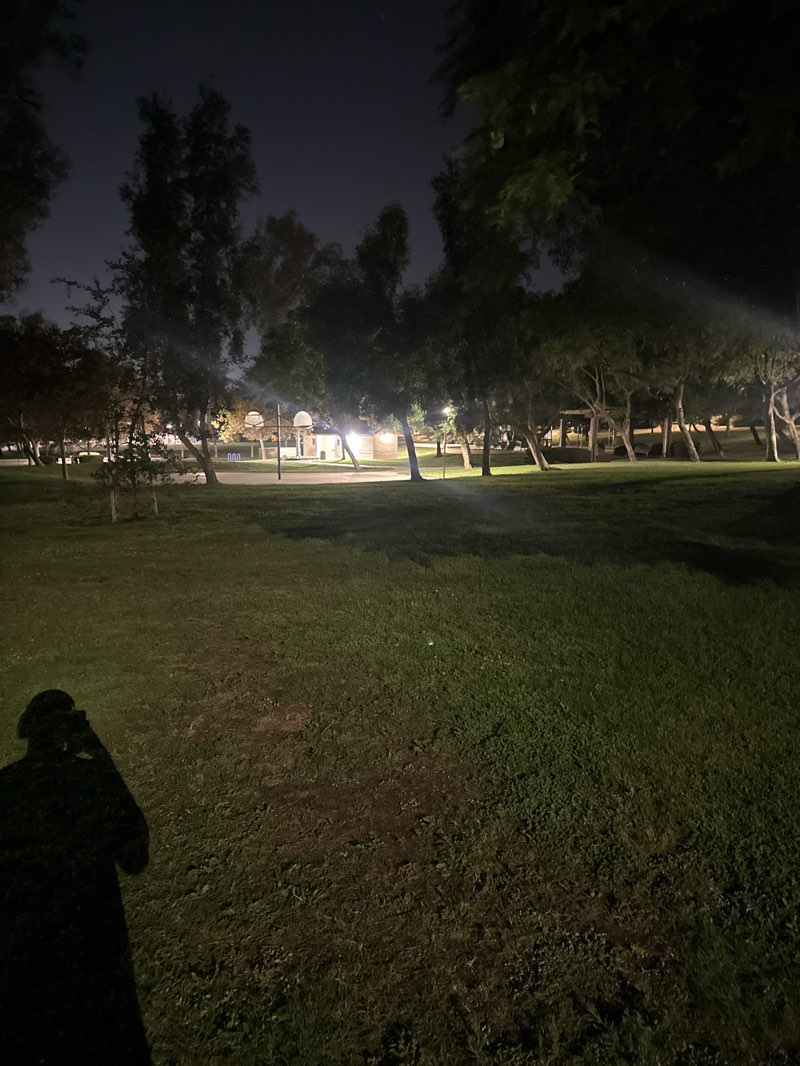 walking near me in Victoria Groves Park in summer