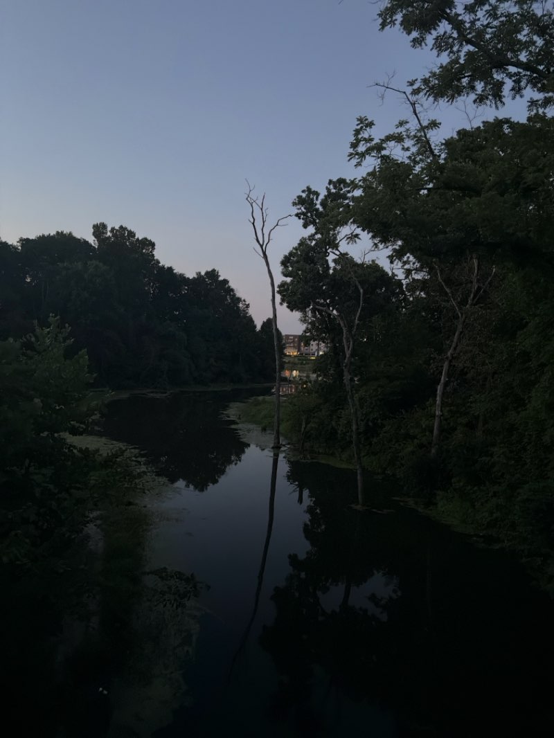 walking near me in Waterfall Park in summer