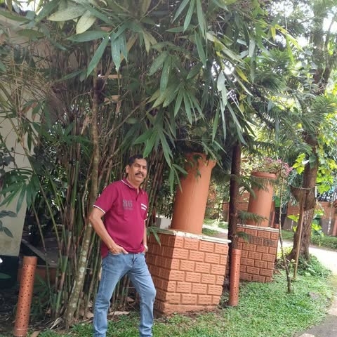 Narayanan profile